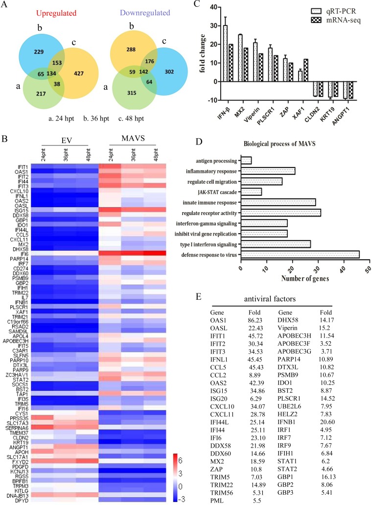 FIG 2