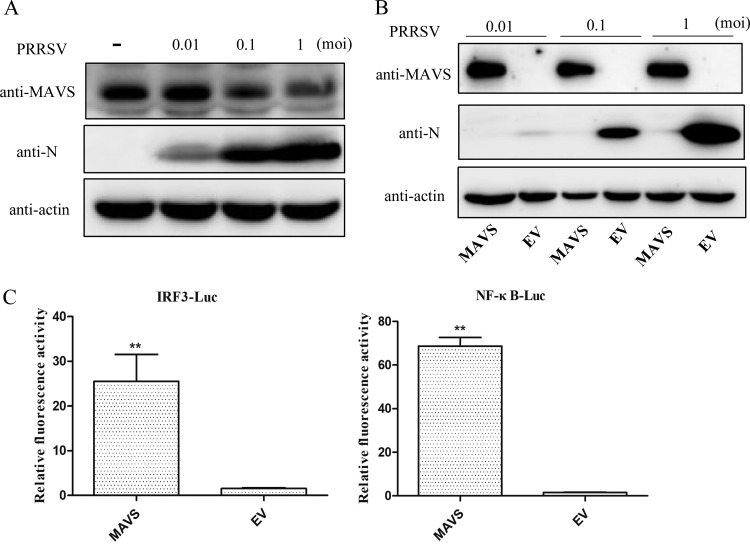 FIG 1