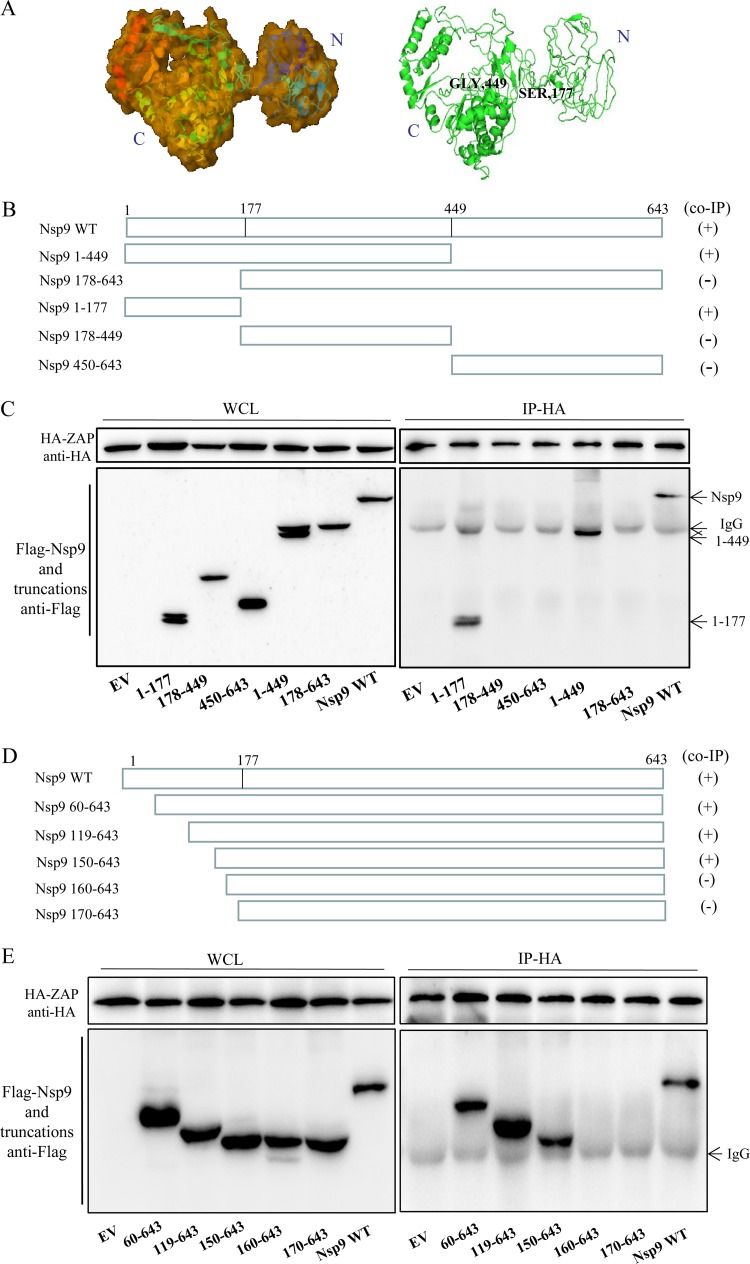 FIG 9