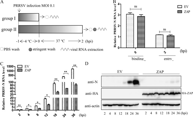 FIG 6