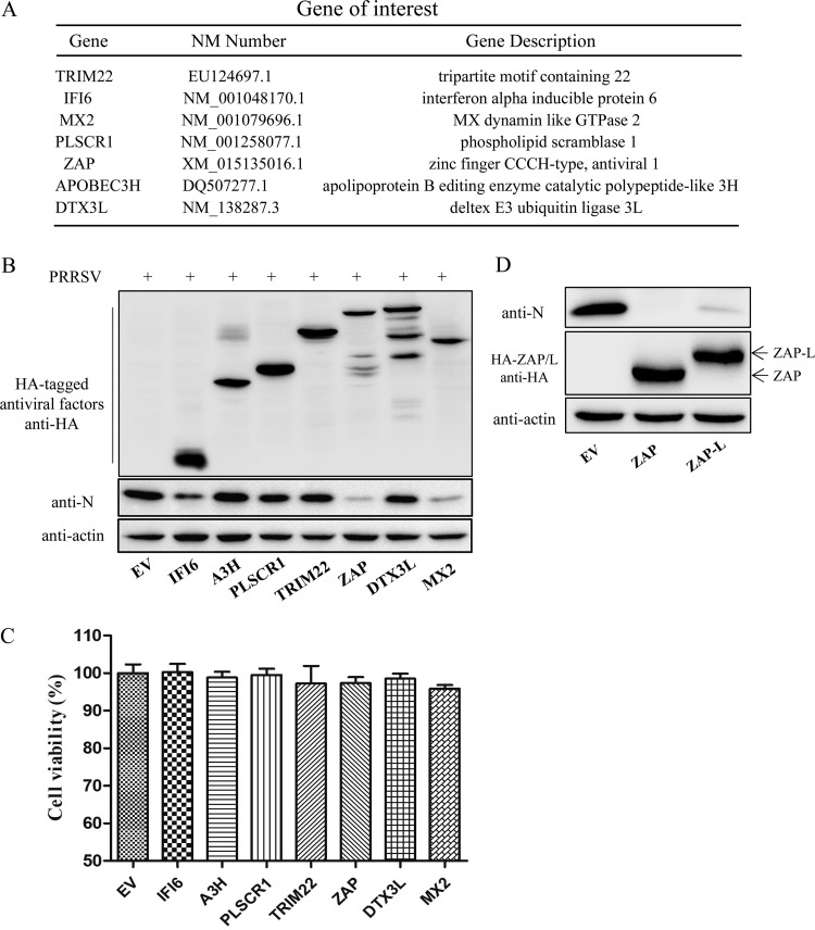 FIG 3