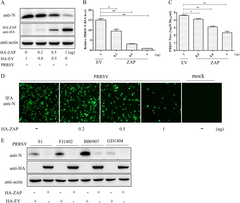 FIG 4