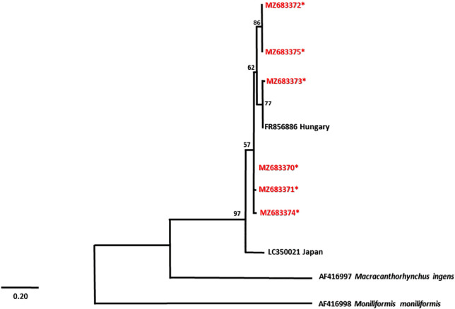 Fig. 4