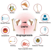 Graphical abstract