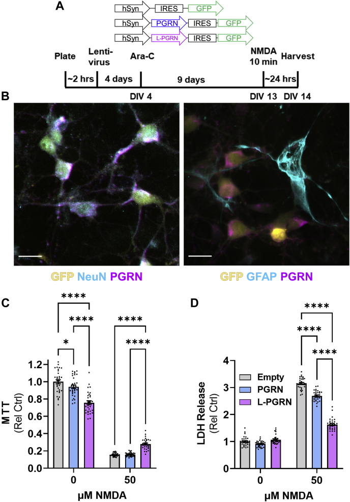 Figure 4