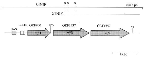 FIG. 1