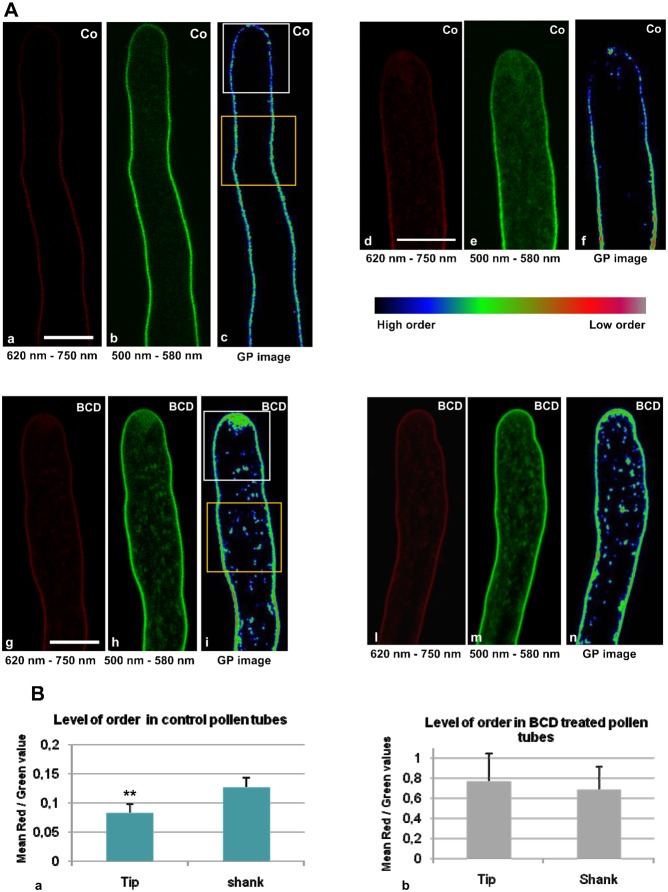 Fig. 10.