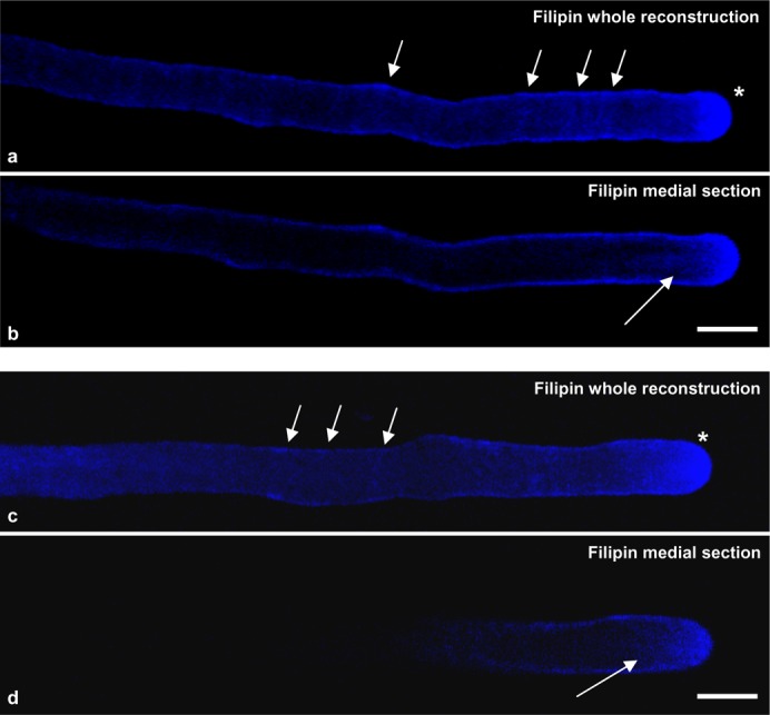 Fig. 9.