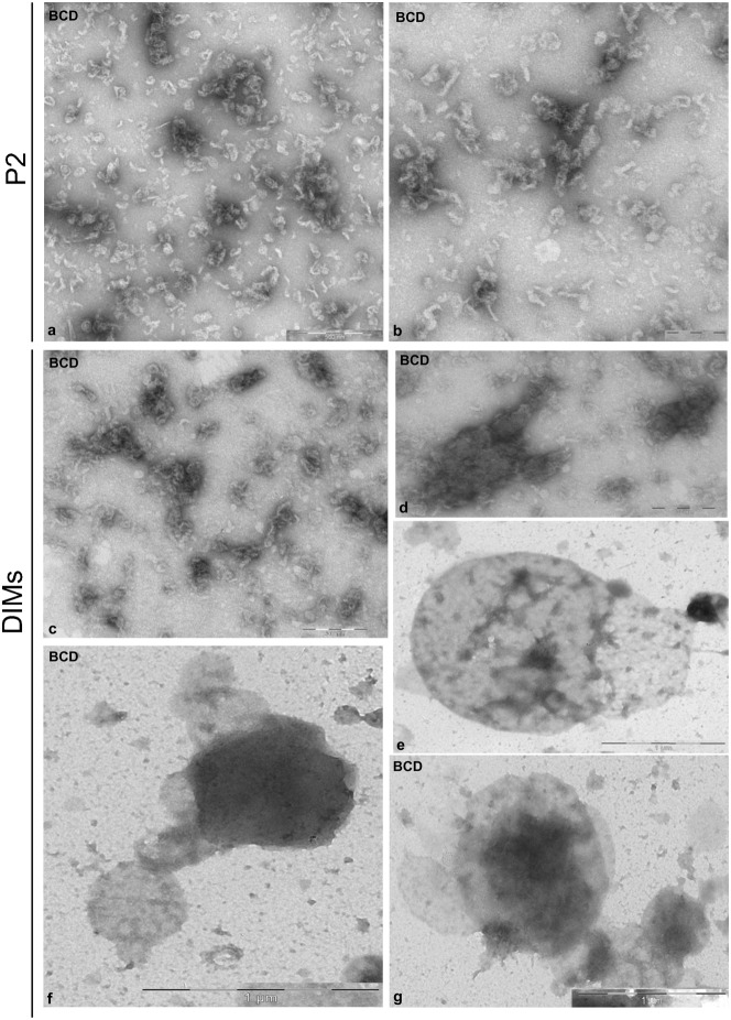 Fig. 8.