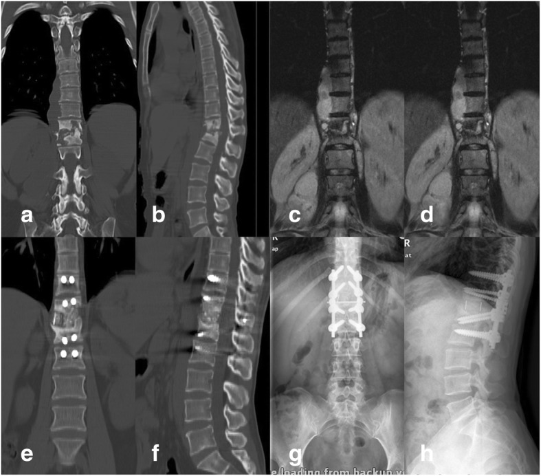 Fig. 5