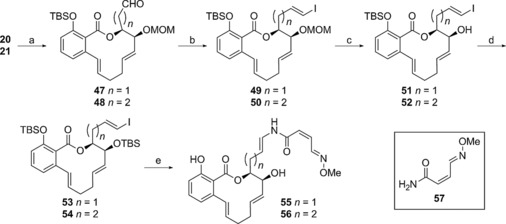 Scheme 5