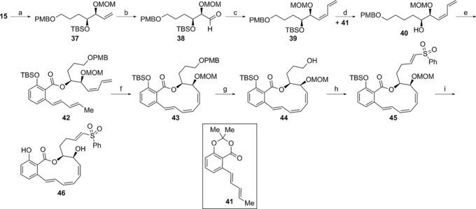 Scheme 4