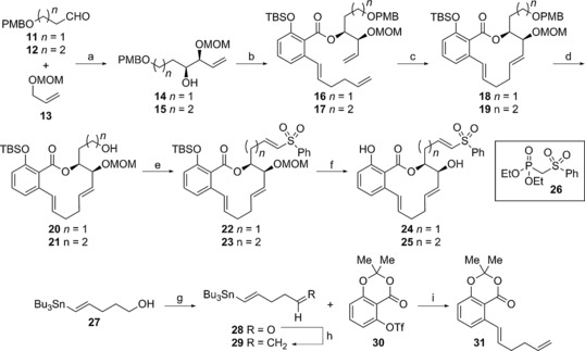 Scheme 2