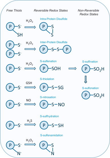 Fig. 1