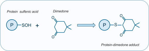 Fig. 7