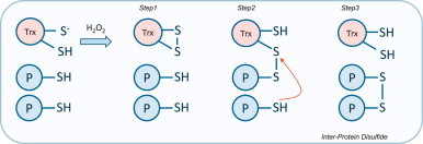 Fig. 2