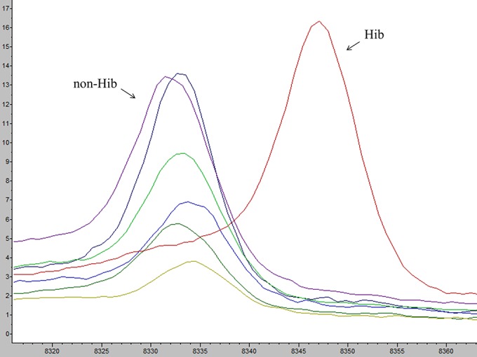 FIG 1