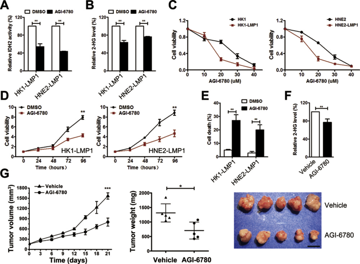 Figure 6