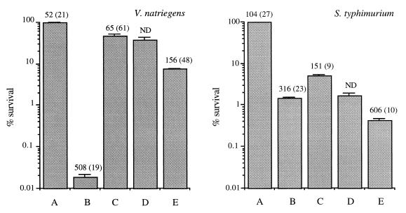 FIG. 7