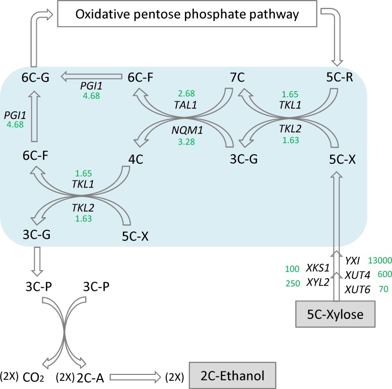 Fig 6