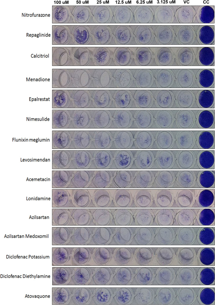 graphic file with name figs1_lrg.jpg