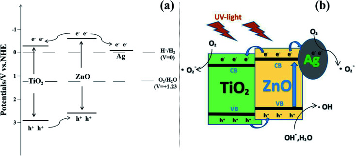 Fig. 10