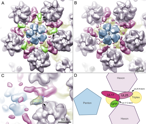 Fig. 6.