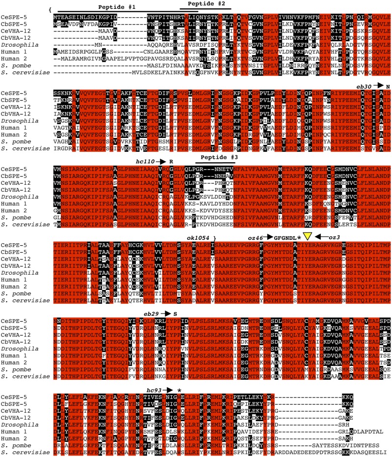 Figure 4 