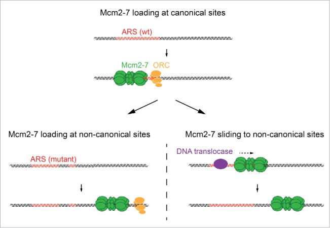 Figure 2.