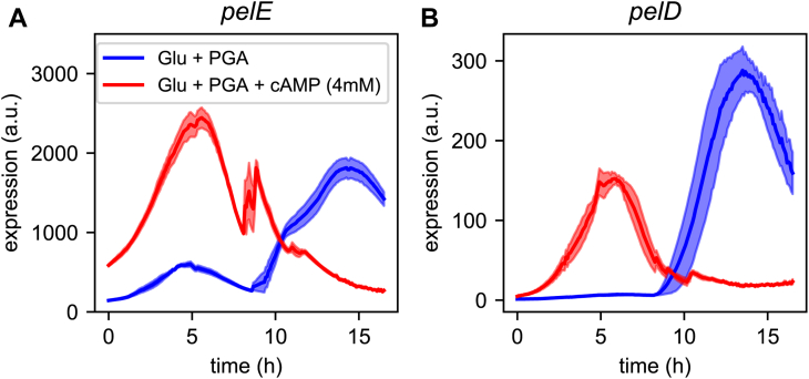 Figure 6