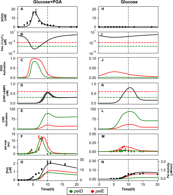 Figure 5