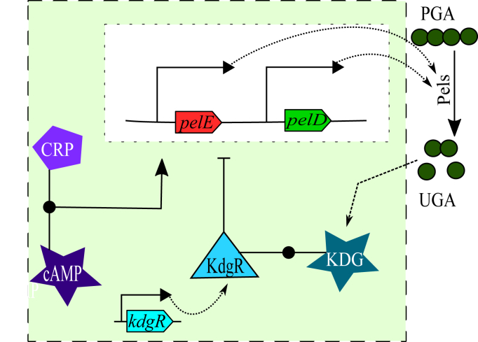 Figure 2