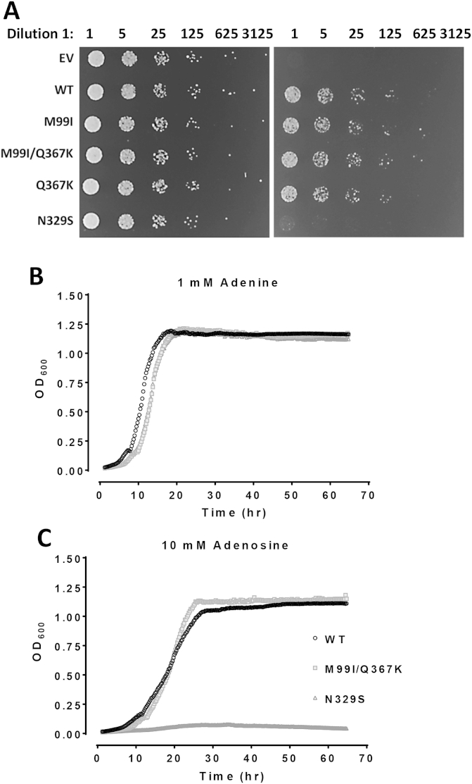 Fig. 4