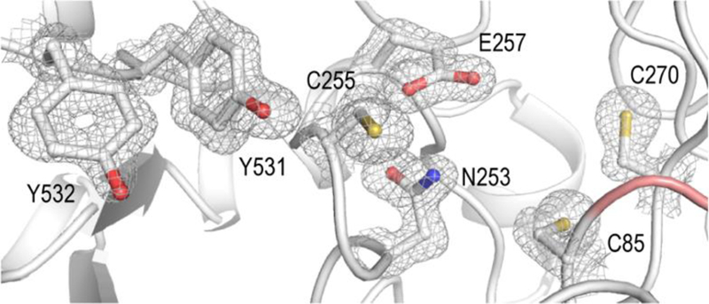 Figure 3.