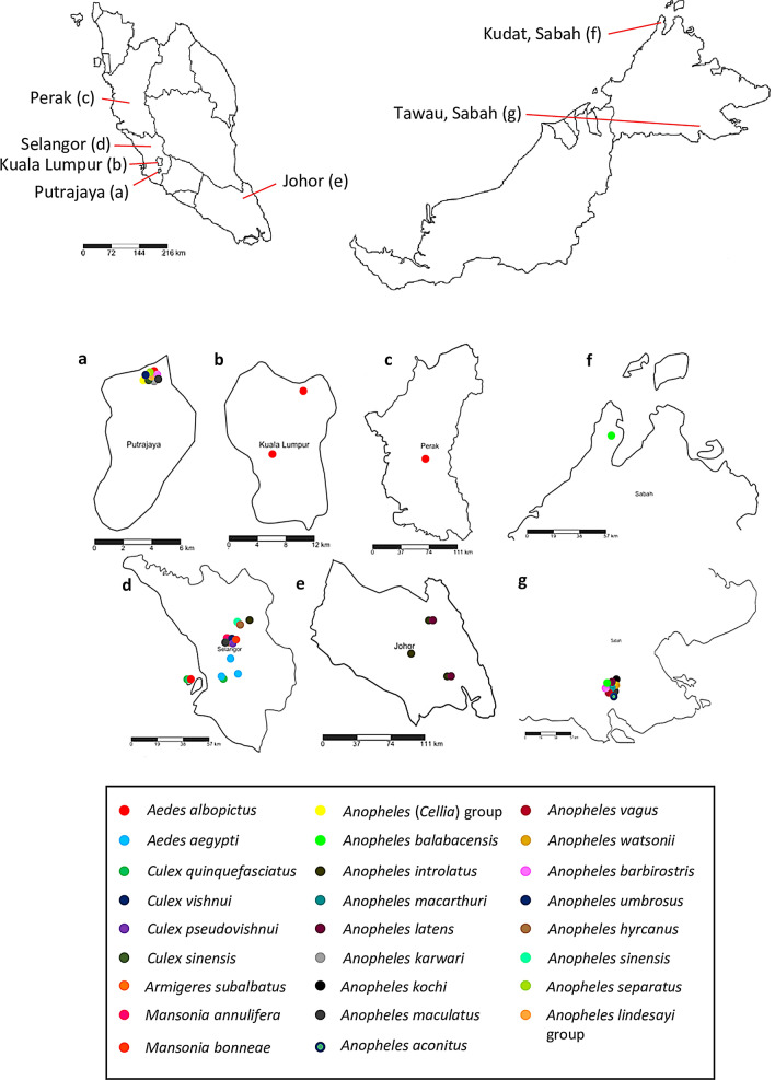 Fig. 1