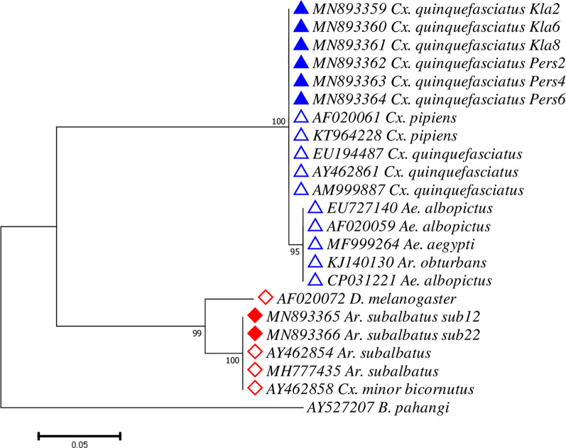 Fig. 4