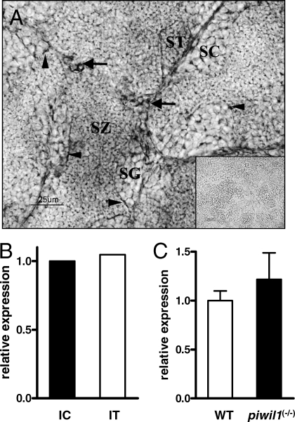 FIG. 5.