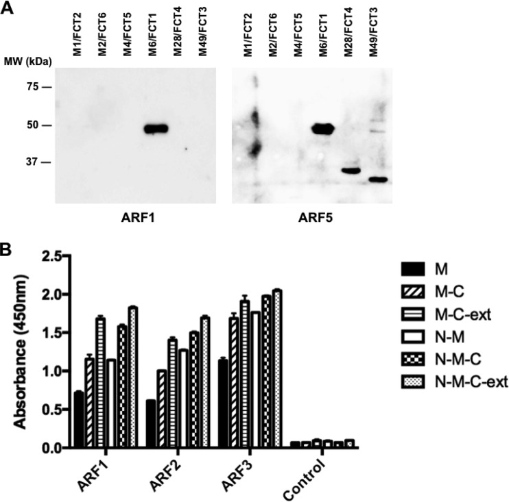 FIG 3