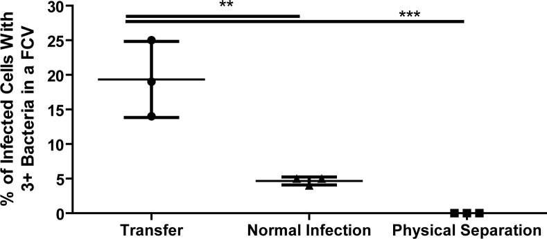 Figure 5—figure supplement 5.