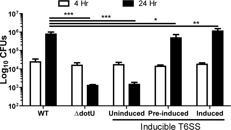 Figure 3—figure supplement 1.