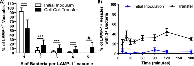 Figure 5—figure supplement 1.