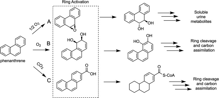 Figure 4.