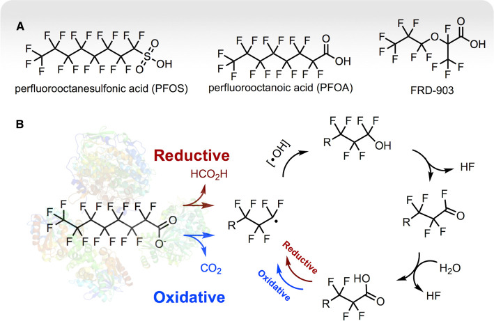 Figure 6.