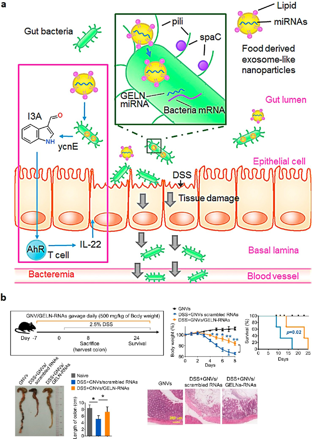 Figure 6.