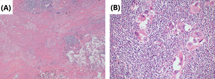 Fig. 8