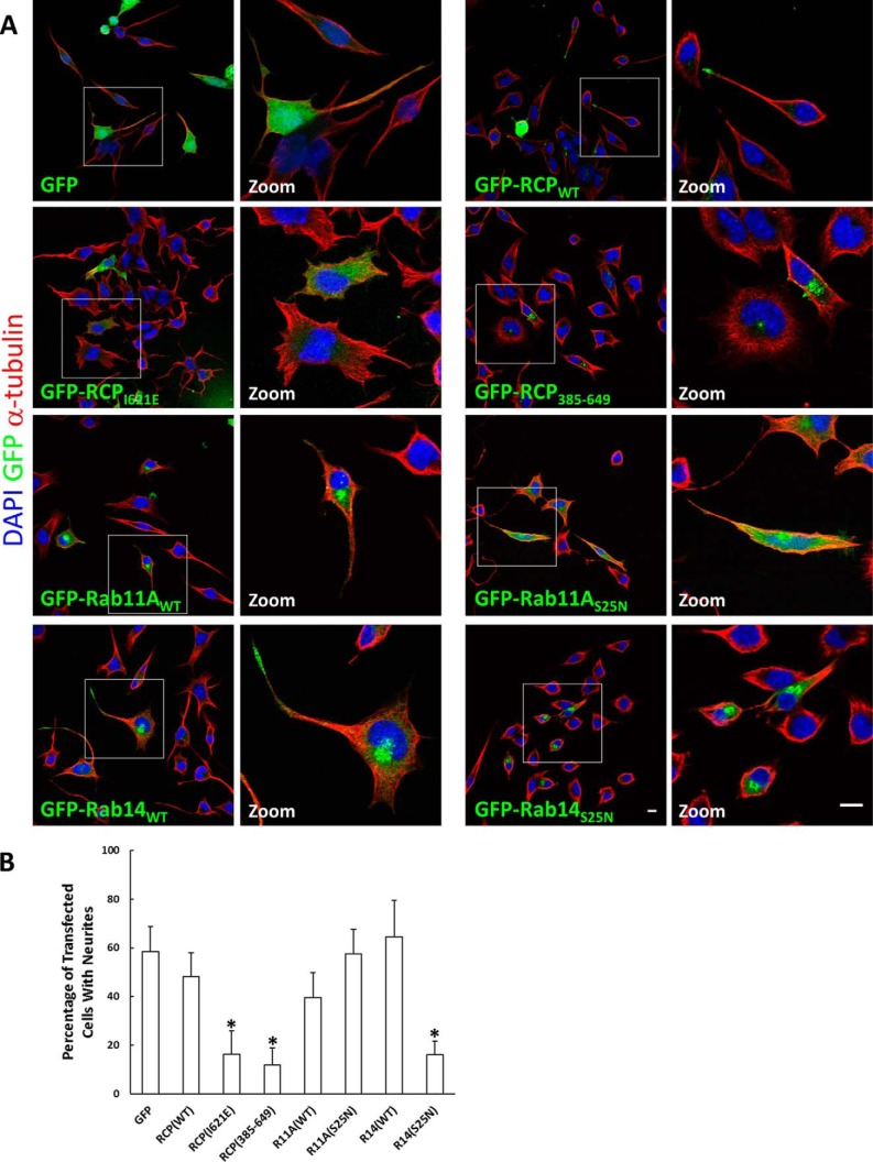 FIGURE 12.