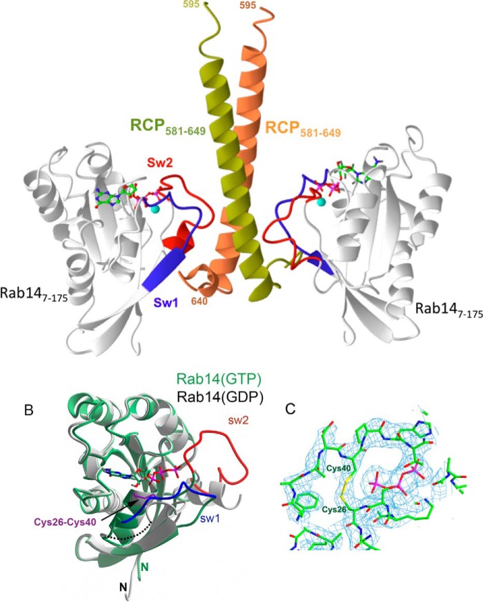 FIGURE 3.