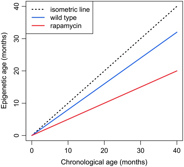 FIG. 7.