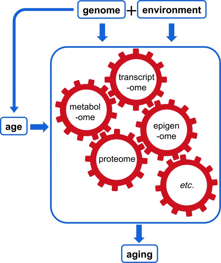 FIG. 1.