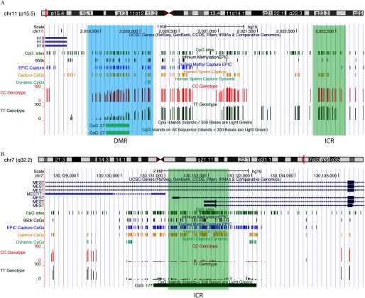 Figure 4A is a Genome browser, displaying a paternally methylated gene on scale chr11 (p15.5), representing DMR and ICR. Figure 4B is a Genome browser, displaying a maternally methylated gene on scale chr7 (q32.2), representing ICR.